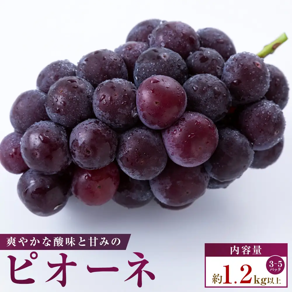 【小分けパック入り】パクパク食べられる・ピオーネパック　約1.2kg以上