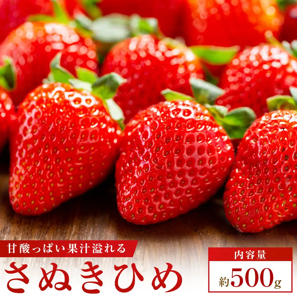【食べきりサイズ】さぬきひめいちごDXパック　約500g