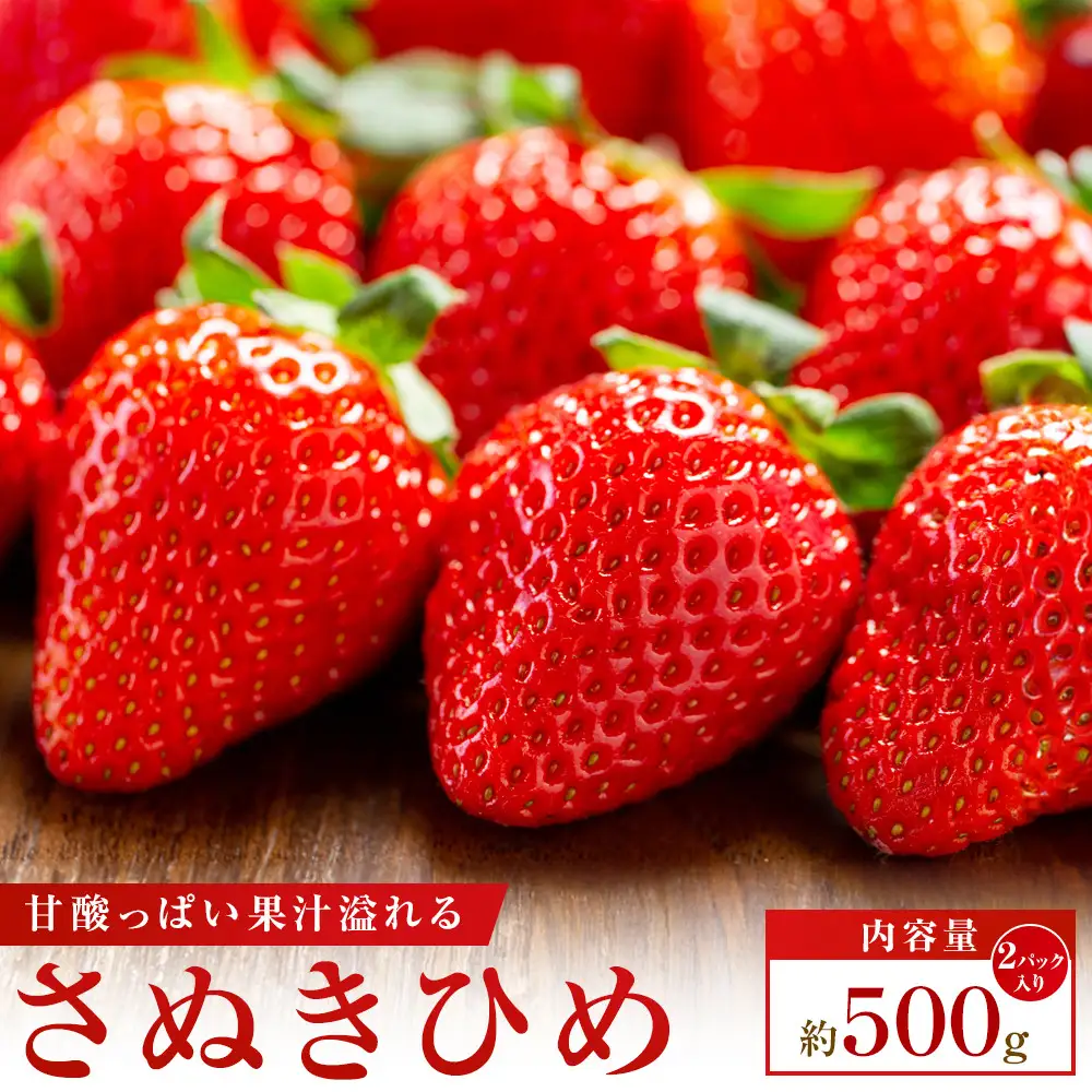 【大収穫祭・感謝企画】数量限定!!さぬきひめいちご　約500g