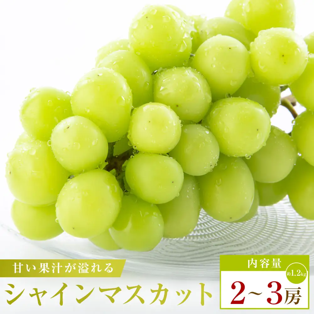 シャインマスカット　約1.2kg(2～3房)