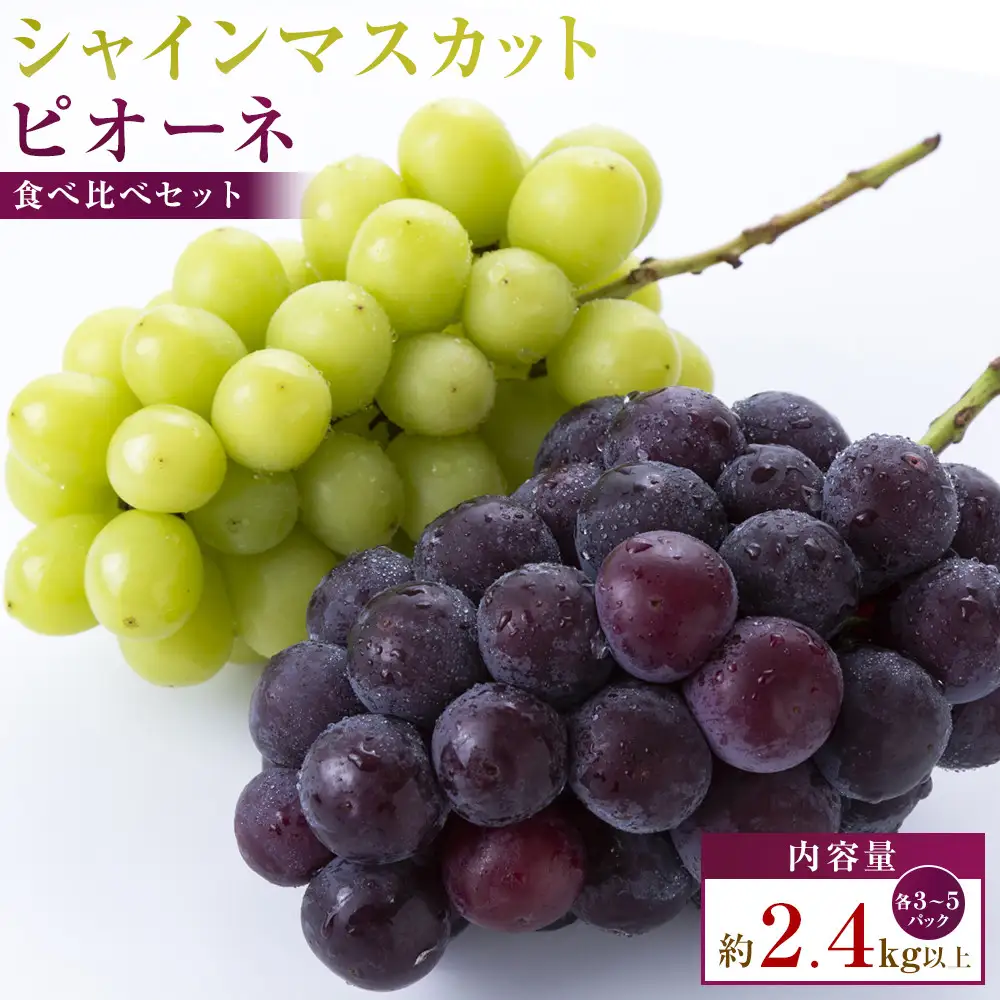 シャインマスカット+ピオーネ　パック食べ比べセット　約2.4kg以上(各3～5パック)