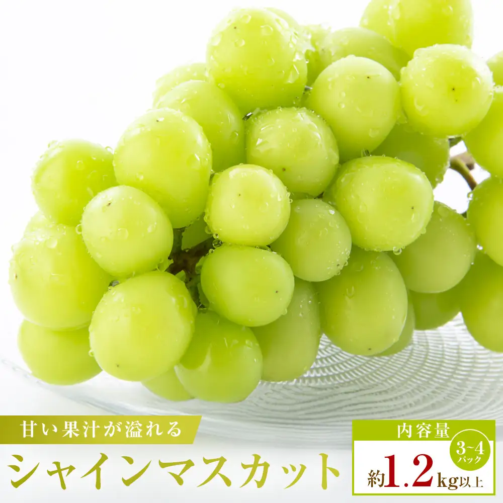 【小分けパック入り】パクパク食べれる・シャインマスカットパック　約1.2kg以上