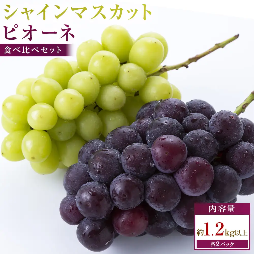 シャインマスカット+ピオーネ　パック食べ比べセット　約1.2kg以上(各2パック)