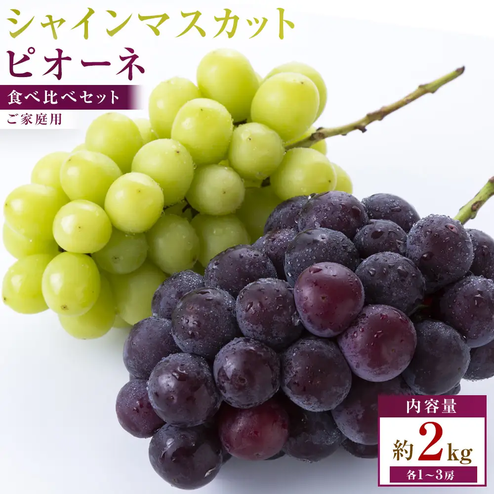 【満足セット】ご家庭用　シャインマスカット+ピオーネ食べ比べセット　約2kg(各1～3房)