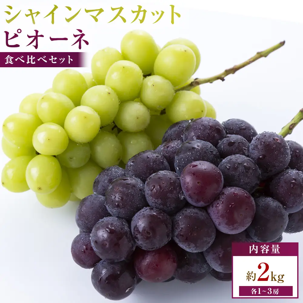 【満足セット】人気の2品種　シャインマスカット+ピオーネ食べ比べセット　約2kg(各1～3房)