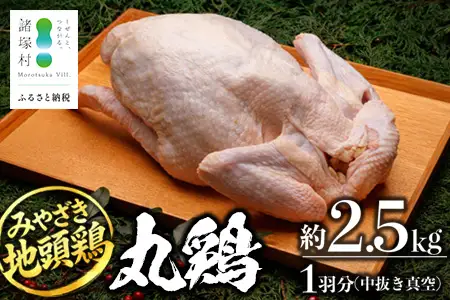 みやざき地頭鶏 1羽 中抜き 丸鶏 セット 冷凍｜鶏肉 地鶏 丸鶏 1羽まるごと ロースト チキン じとっこ 真空パック 興洋開発株式会社 宮崎県 諸塚村 KY-16