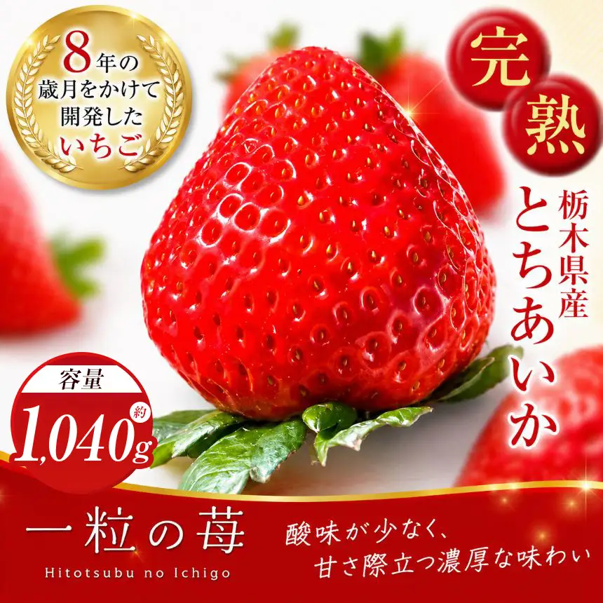【先行予約】完熟いちご とちあいか 1040g