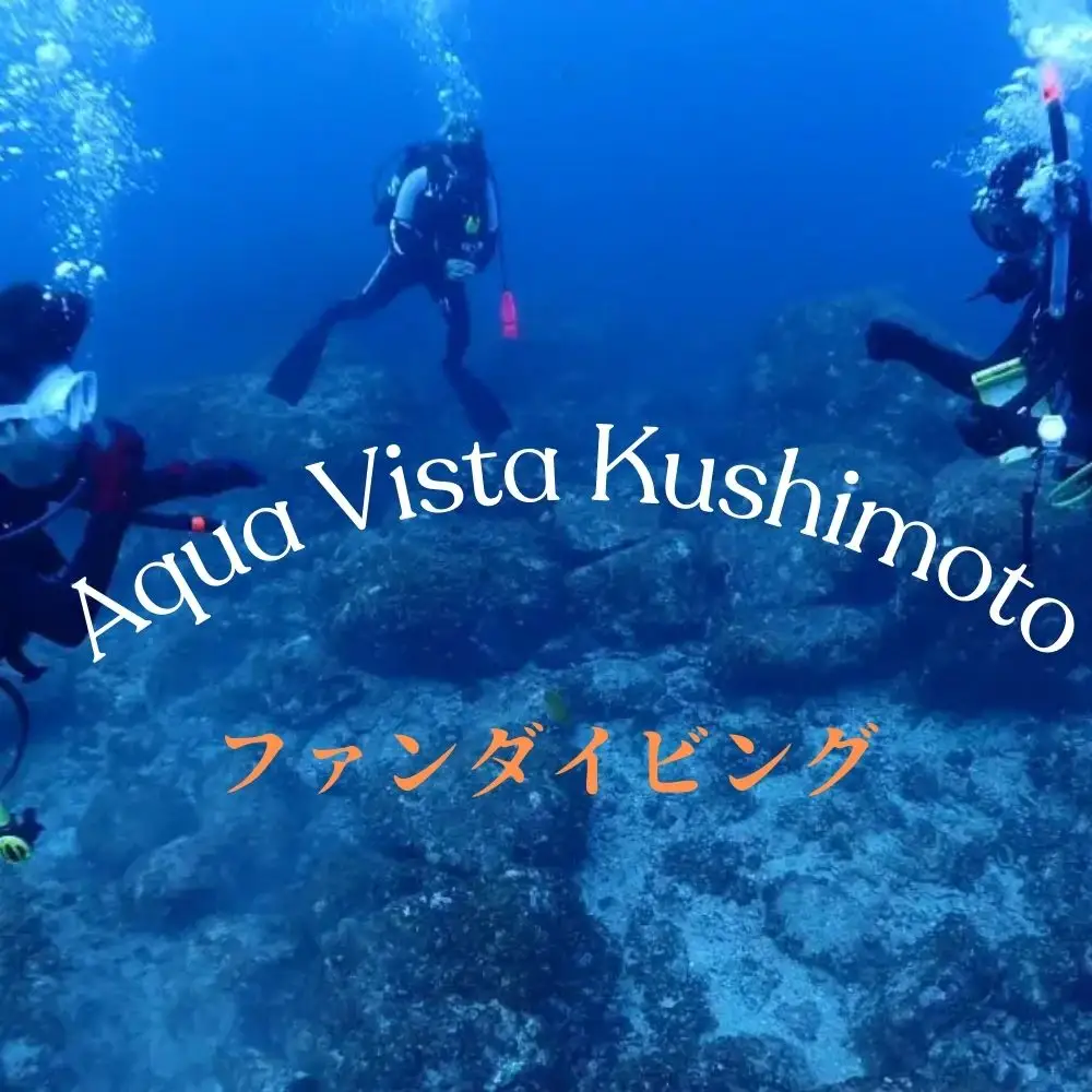 2ボートファンダイビング【ライセンス保有者限定】　1名様 ｜ ダイビング ファンダイビング 和歌山県 串本町【aqa002】