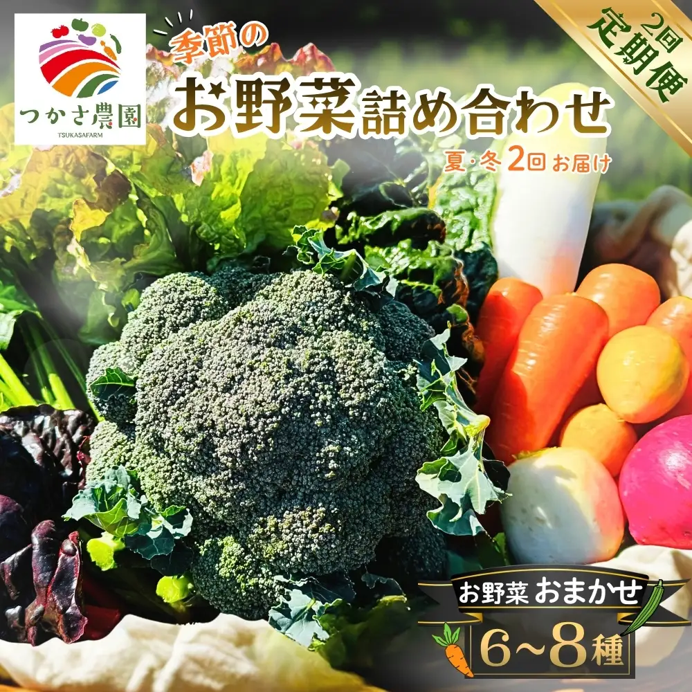 【定期便2回（夏・冬）】つかさ農園 季節のお野菜詰め合わせ（6～8種） ※北海道・沖縄・離島への配送不可