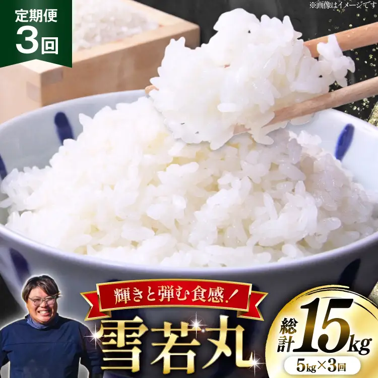 米 定期便 3回 令和8年産  雪若丸 5kg [本田勇仁 山形県 高畠町 tk06bgj910002]