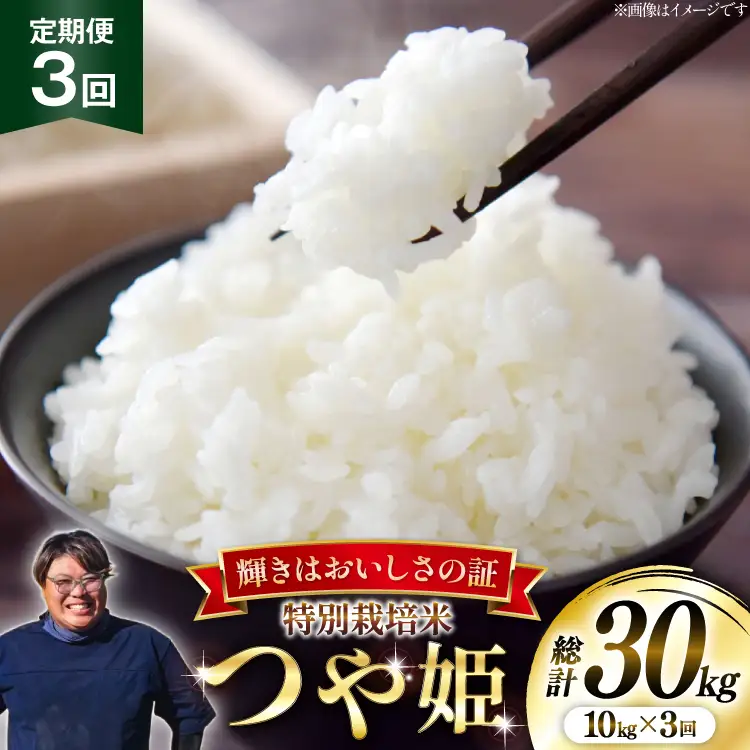 米 定期便 3回 令和8年産 特別栽培米 つや姫 10kg (5kg×2) [本田勇仁 山形県 高畠町 tk06bgj910007]
