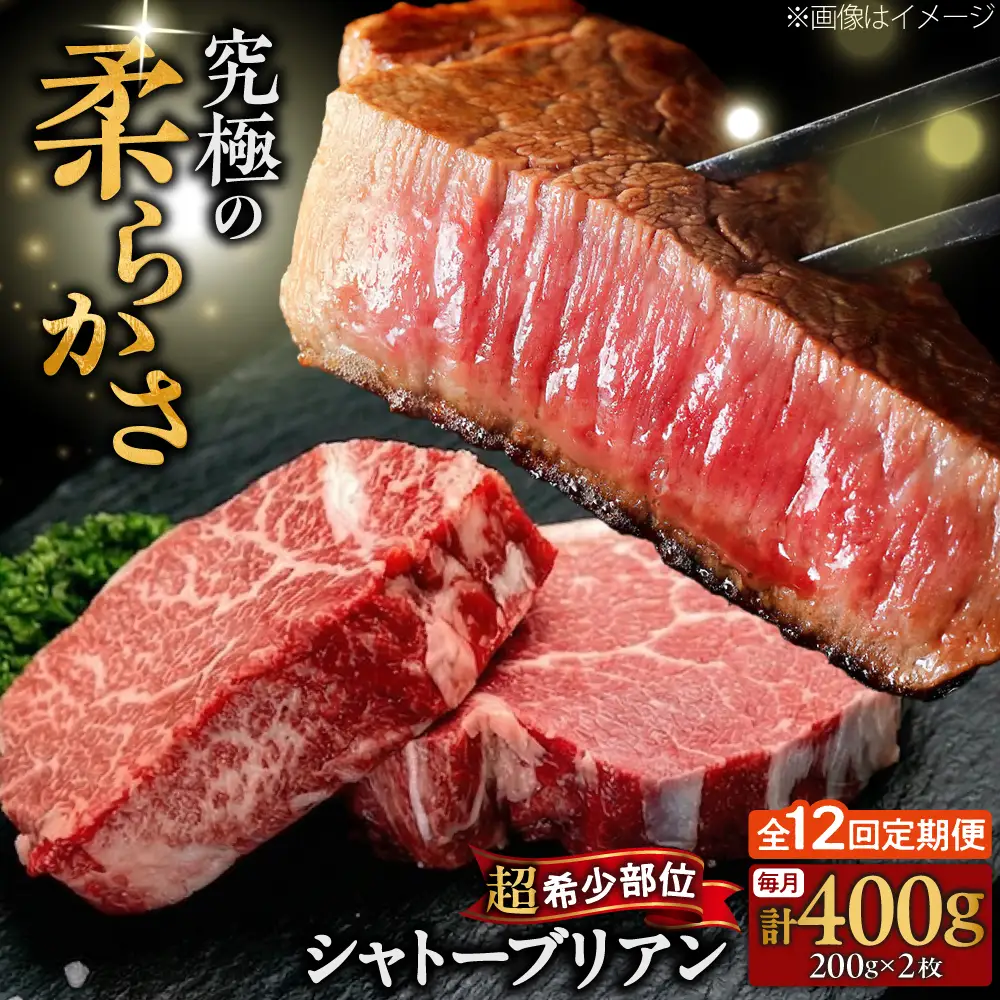 【全12回定期便】博多和牛 牛肉 ヒレ シャトーブリアン 400g（200g×2）[BGBY082] シャトーブリアン ステーキ