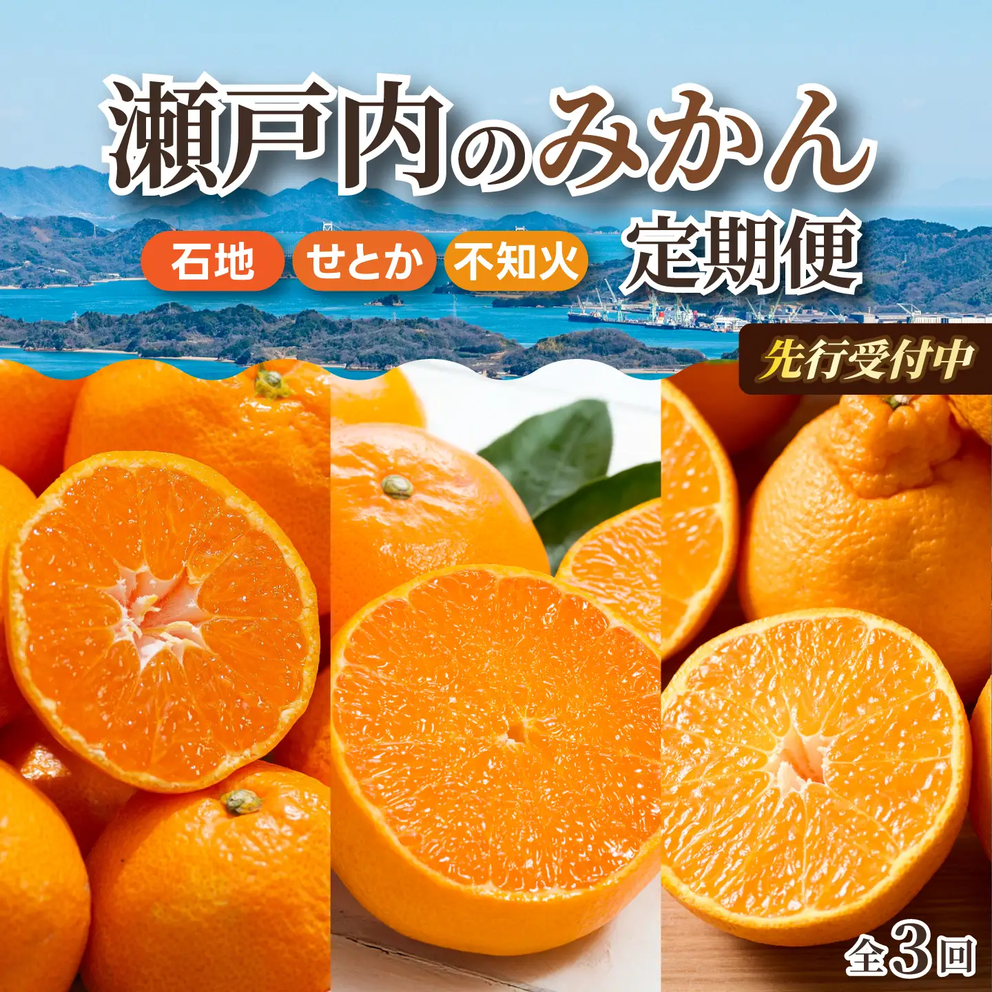 【数量限定☆先行受付】柑橘食べ比べ定期便（3種）石地みかん・せとか 各2.5kg 不知火 2kg  フルーツ 果物 みかん しらぬい オレンジ デコポン 産地直送 ジューシー 人気 濃厚 T09