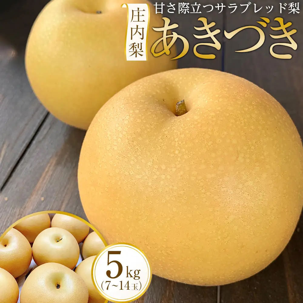 庄内梨 あきづき 5kg（7～14玉）【2026年9月下旬頃より発送】