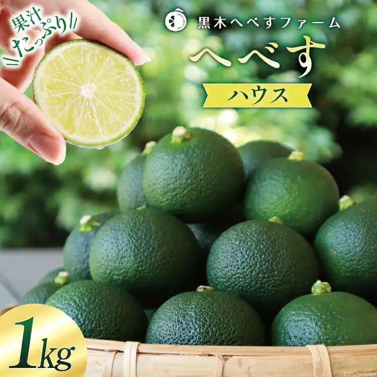 【期間限定発送】 旬を先取り 黒木へべすファーム自慢の《ハウス》へべす 1kg [黒木へべすファーム 宮崎県 日向市 452060741]