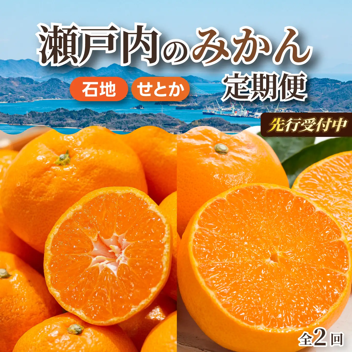 【数量限定☆先行受付】柑橘食べ比べ定期便（石地みかん・せとか） 各2.5kg フルーツ 果物 みかん オレンジ 産地直送 ジューシー 人気 濃厚 T10