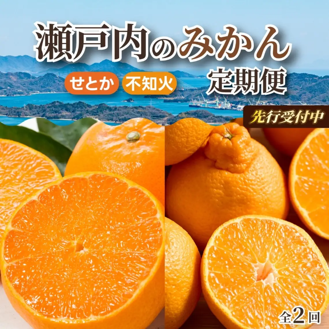 【数量限定☆先行受付】柑橘食べ比べ定期便 せとか 2.5kg・不知火 2kg フルーツ 果物 みかん オレンジ デコポン しらぬい 産地直送 ジューシー 人気 濃厚 T11