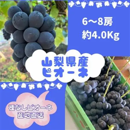 【2026年8月より発送予定】ピオーネ6～8房(約4.0kg)【配送不可地域：離島】【1727826】