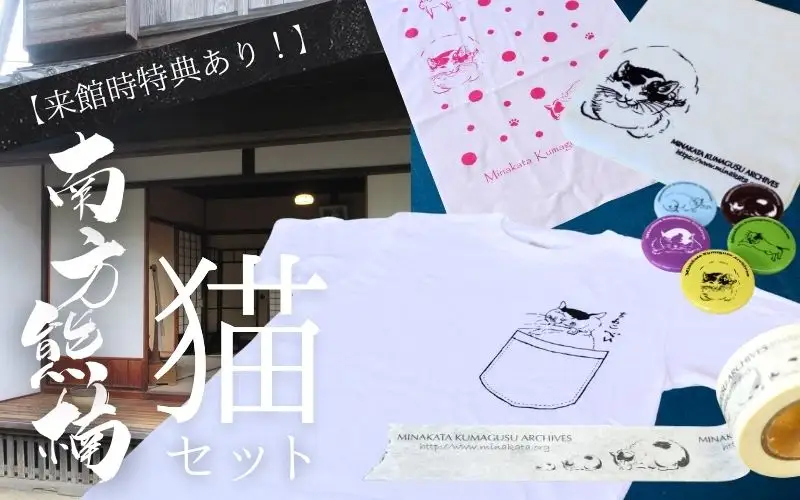 来館特典あり！ 南方熊楠 猫セット / 和歌山 田辺市 偉人 南方 熊楠 歴史 グッズ オリジナルグッズ  ※寄付時にご希望のサイズを備考欄にご記入ください※【mkk002】