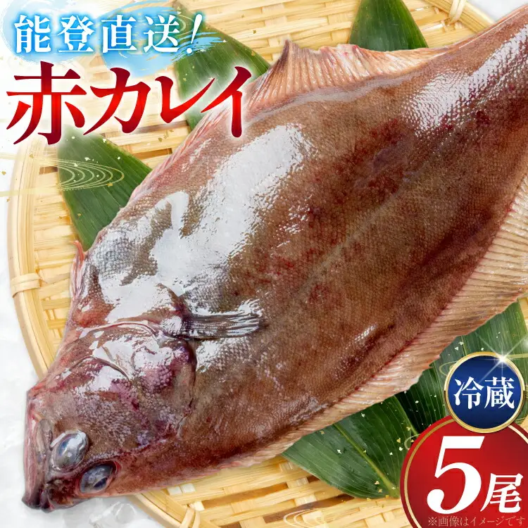 カレイ 能登の赤カレイ 5尾 (1尾200～300g) 計1kg程度 [小川水産 石川県 志賀町 sk17bdm840009]