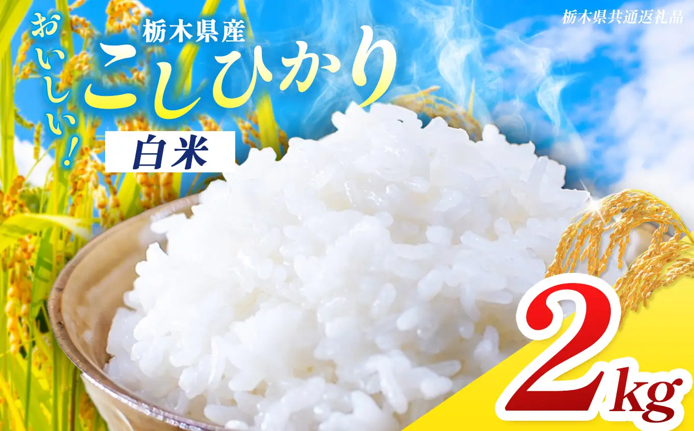 【栃木県共通返礼品】【先行予約】令和8年度産 栃木県産コシヒカリ 2kg｜栃木県 那珂川町