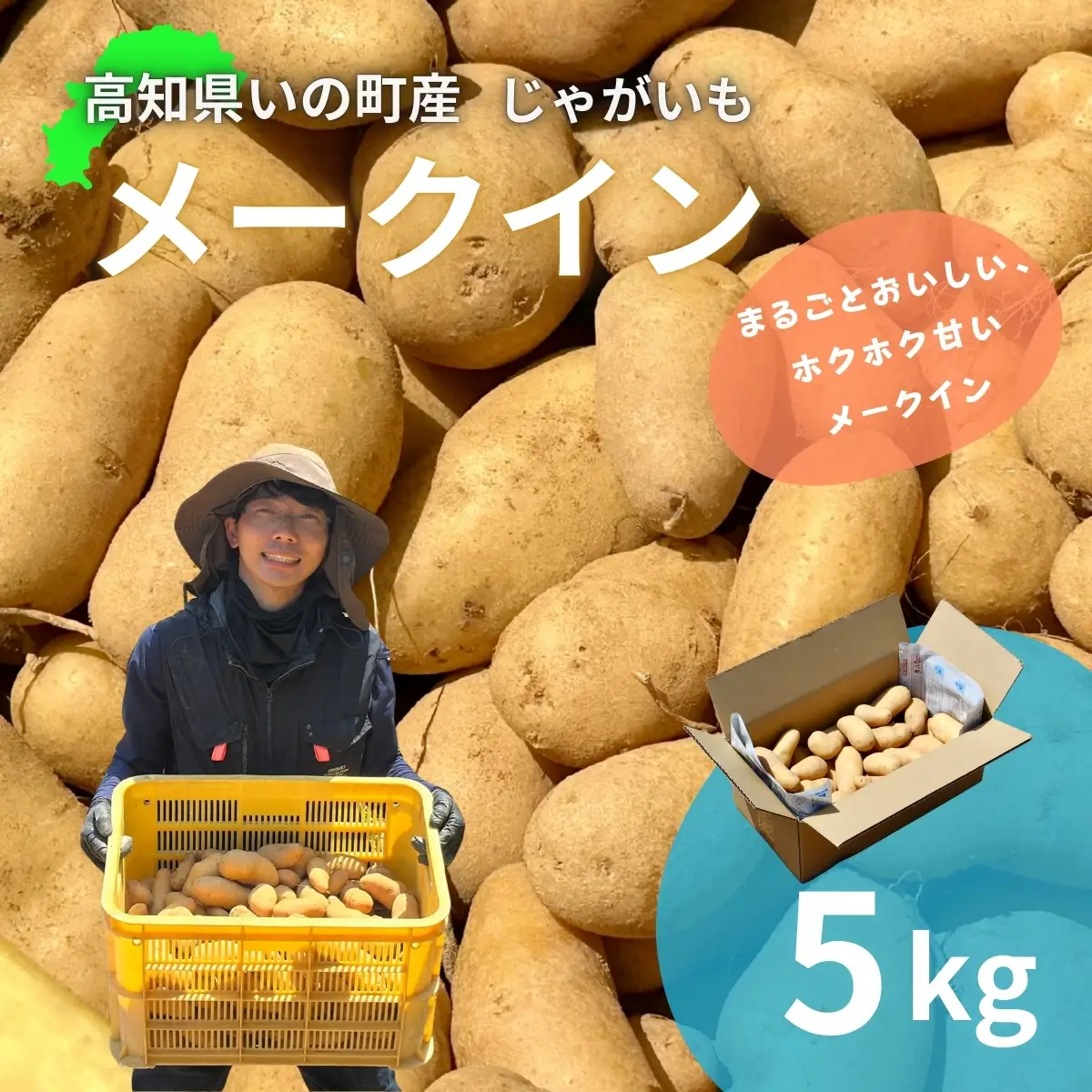 じゃがいも5kg（メークイン）