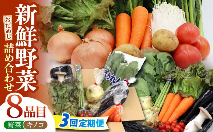 【3回定期便】野菜 定期便 8品目 [SCZ028]