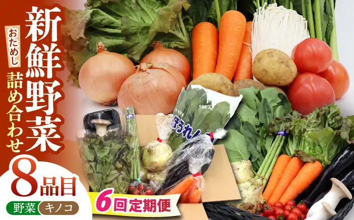 【6回定期便】野菜定期便 8品目 [SCZ029]