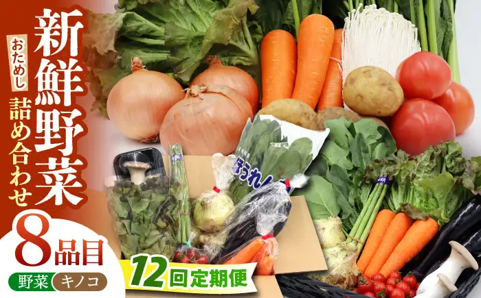 【12回定期便】野菜定期便 8品目 [SCZ030]