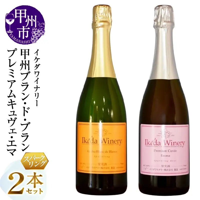 ワイン イケダワイナリー スパークリングワイン 2本セット（MG）C-491