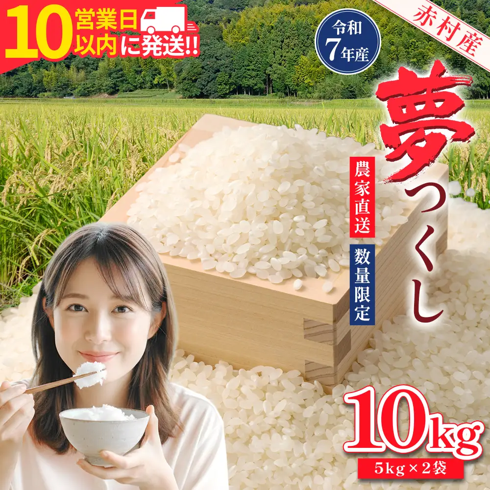 【10営業日以内に発送】赤村産米 農家直送 【数量限定】 精米 夢つくし 10kg 4U1-S1