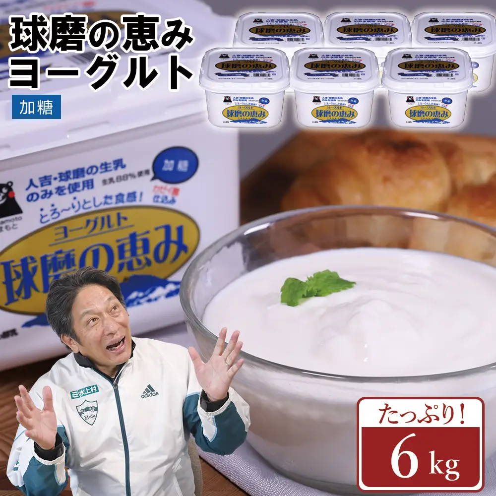 球磨の恵み ヨーグルト 加糖 6kg まとめ買い 大容量 熊本県 水上村