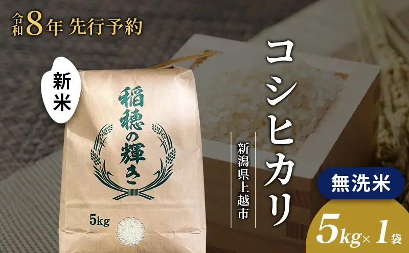 先行予約 令和8年 新米 無洗米 新潟県上越市産 コシヒカリ 5kg 5キロ お米 コメ こしひかり 澤井商事