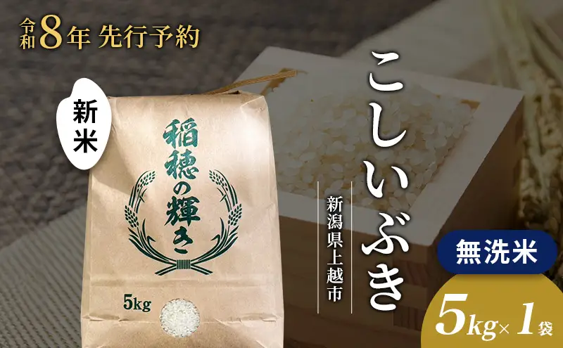 先行予約 令和8年 新米 無洗米 新潟県上越市産 こしいぶき 5kg 5キロ お米 コメ 澤井商事