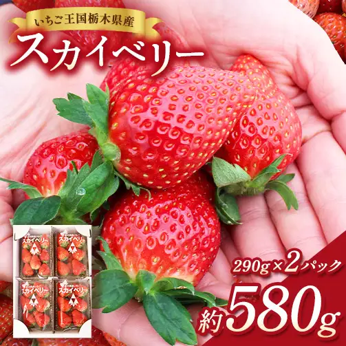【先行予約】出会いの森いちご園 スカイベリー （290g×2パック） | いちご イチゴ 苺 栃木県 果物 くだもの フルーツ スカイベリー 新鮮 贈答 ギフト デザート スイーツ ※2026年12月～発送