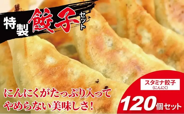 にんにくたっぷり！スタミナ餃子 120個 〈餃子 冷凍餃子 セット 冷凍食品 人気 美味しい 老舗 有名店 ニンニク 手作り ギョーザ ぎょうざ 焼き餃子 野菜 おかず 総菜 おつまみ 中華 大量〉