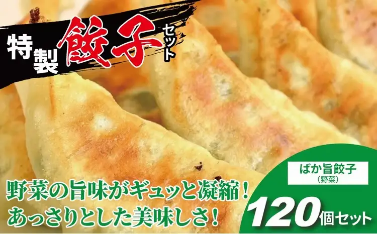 にんにく不使用！ ばか旨餃子 120個 〈にんにくなし 餃子 冷凍餃子 セット 冷凍食品 人気 美味しい 老舗 有名店 手作り ギョーザ ぎょうざ 焼き餃子 野菜 おかず 総菜 おつまみ 中華 大量〉