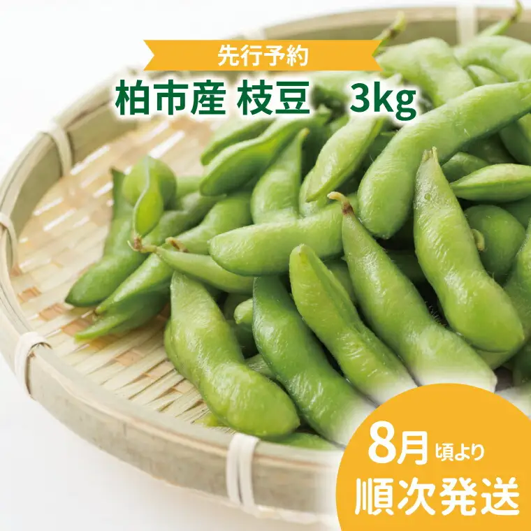 【オンライン決済限定】柏産 枝豆 3kg 〈先行予約 2026年8月順次発送〉セット 野菜 国産 千葉県産 柏市産 予約 おいしい 新鮮 おつまみ 弁当 プレゼント 父の日 母の日 おすすめ 夏野菜 産地直送 