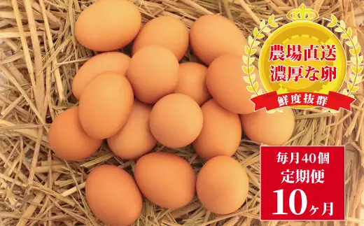 たまごのお店 むこたま［農場たまご］Mサイズ 40個入 定期便10ヶ月
