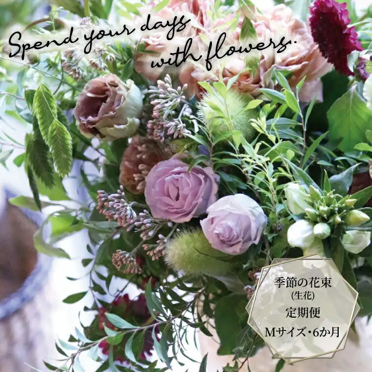 季節の花束(生花)の定期便・Mサイズ(6か月)〈 花 定期便 生花 お花 記念日 誕生日 お祝い ギフト プレゼント インテリア 自宅用 全国発送 送料無料 冷蔵 そのまま飾れる 花器なし おすすめ かわいい ※お届け日指定不可 〉