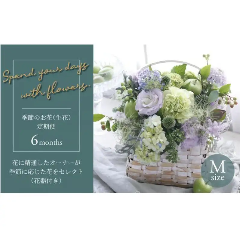 【毎月お届け】季節のお花（生花・花器付き）の定期便・Mサイズ　6か月 〈 フラワーアレンジメント 花 定期便 記念日 誕生日 お祝い ギフト プレゼント インテリア 自宅用 全国発送 送料無料 冷蔵 そのまま飾れる かわいい ※お届け日指定不可 〉
