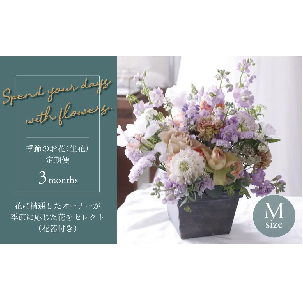 【毎月お届け】季節のお花（生花・花器付き）の定期便・Mサイズ　3か月 〈 フラワーアレンジメント 花 定期便 記念日 誕生日 お祝い ギフト プレゼント インテリア 自宅用 全国発送 送料無料 冷蔵 そのまま飾れる かわいい ※お届け日指定不可 〉