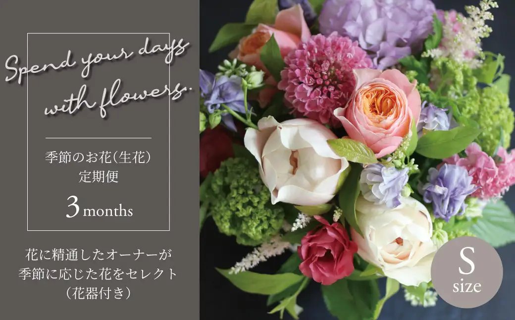 【毎月お届け】季節のお花（生花・花器付き）の定期便・Sサイズ　3か月 〈 フラワーアレンジメント 花 定期便 記念日 誕生日 お祝い ギフト プレゼント インテリア 自宅用 全国発送 送料無料 冷蔵 そのまま飾れる かわいい ※お届け日指定不可 〉
