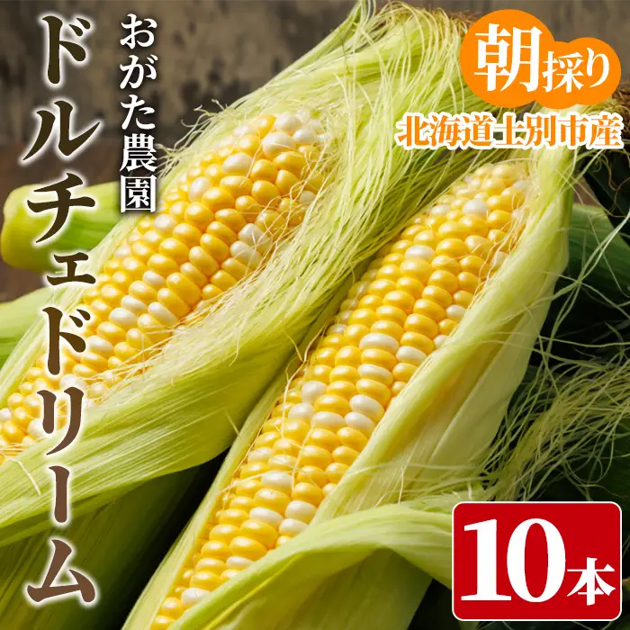 スイートコーン ドルチェドリーム (10本)【2026年7月下旬以降発送予定】 北海道産 北海道 士別市 バイカラー とうもろこし とうきび 野菜 産地直送 新鮮野菜 【おがた農園】【A7148】