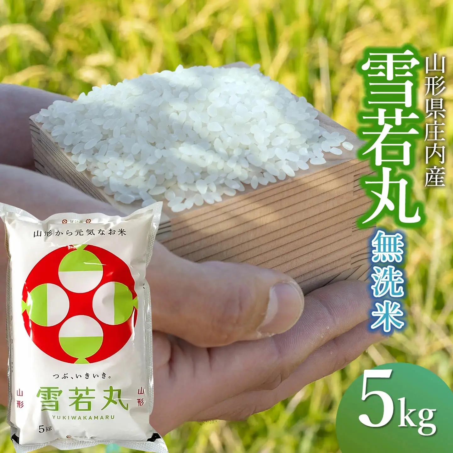 【令和7年産】 馬町さくらファームの雪若丸 無洗米 5kg（5kg×1袋）　山形県鶴岡市　K-731　| 米 ゆきわかまる お米 5キロ コメ こめ ご飯 ごはん ブランド米 米どころ 庄内米 国産 美味しい お取り寄せ 農家直送 お弁当 おにぎり おすすめ 人気 返礼品