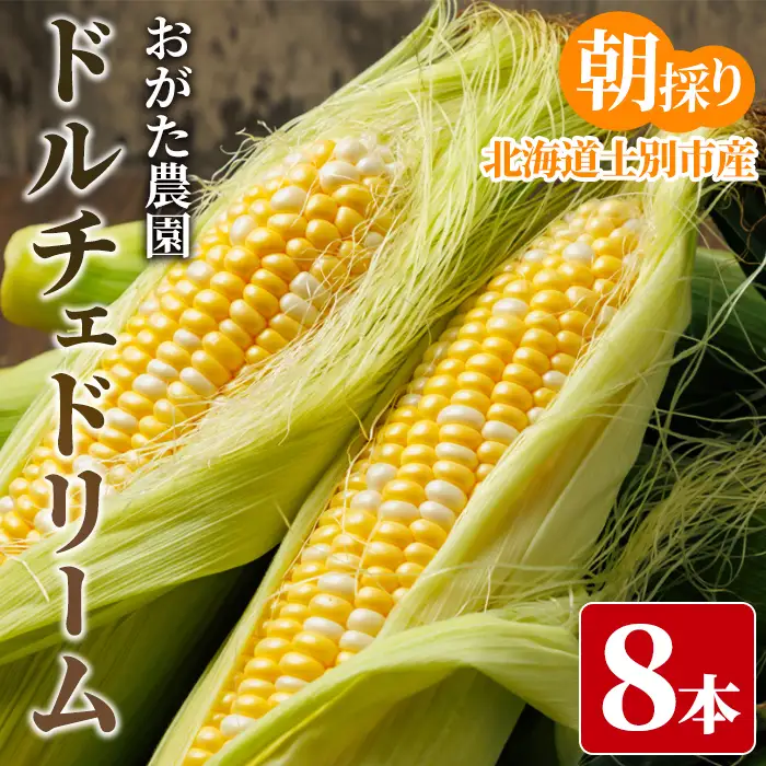 スイートコーン ドルチェドリーム (8本)【2026年7月下旬以降発送予定】 北海道産 北海道 士別市 バイカラー とうもろこし とうきび 野菜 産地直送 新鮮野菜 【おがた農園】【A7060】