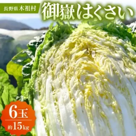 【一玉一玉が大きい!シャキシャキ新鮮】御嶽はくさい 6玉【2026年7月下旬より順次発送】【配送不可地域：離島】【1177169】