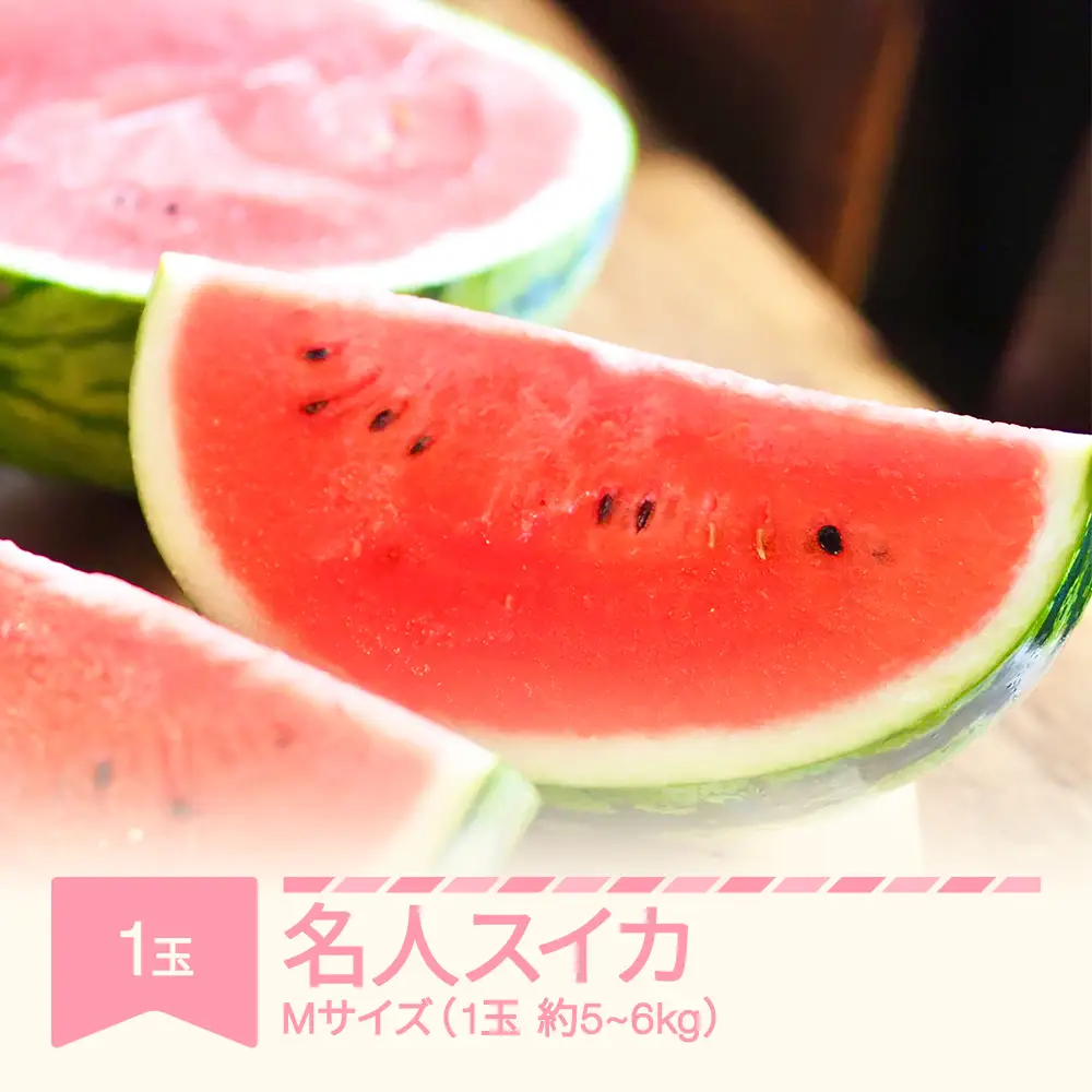 【先行予約】名人スイカ 大玉すいか 1玉 5~6kg 2026年産 令和8年産  ※沖縄・離島への配送不可 mm-suxmx1