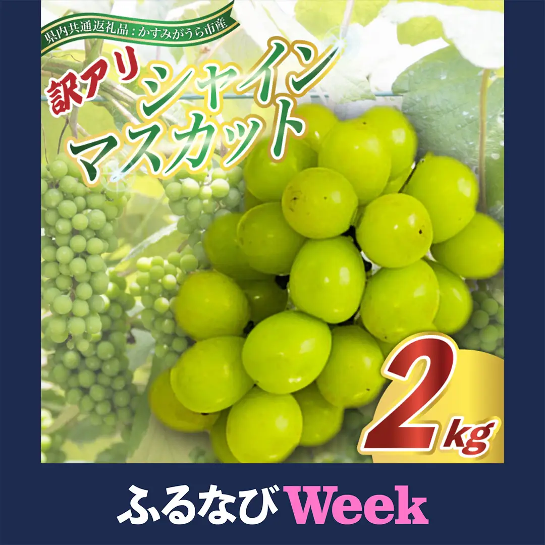 【ふるなびWEEK対象】訳あり シャインマスカット 約2kg ＜2026年9月より順次発送＞ (県内共通返礼品:かすみがうら市産) 先行予約 ぶどう ブドウ 葡萄 フルーツ 茨城 新鮮 (BR076-FN)