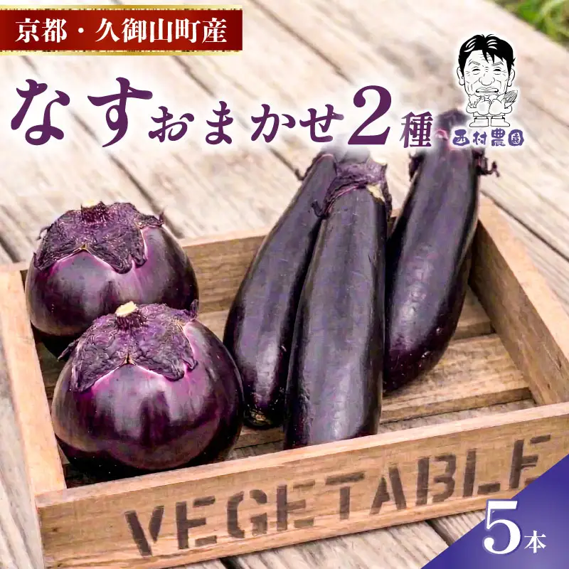 なす 2種類 おまかせ 5本（賀茂なす・水なす・フルーツなす・千両なす・ふわとろ長なす）ナス 京都